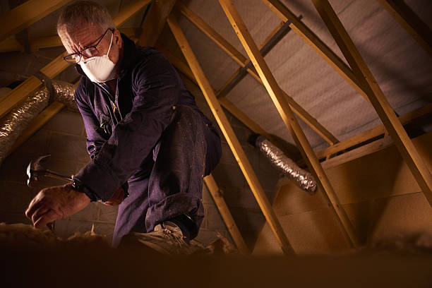 Types of Insulation We Offer in Layton, UT